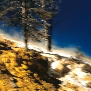 Meet your Posher, Evelyn